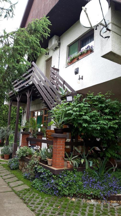 Agave Apartman Веленце Екстер'єр фото