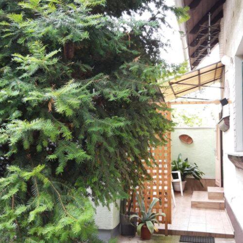 Agave Apartman Веленце Екстер'єр фото